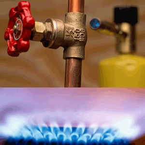 Castelo Branco: Politécnico com curso de redes de gás